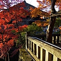 清水寺-20.jpg