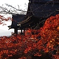 清水寺-25.jpg