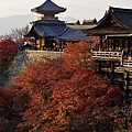 清水寺-30.jpg