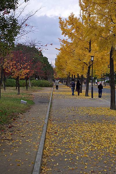 大阪城公園-04.jpg