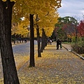 大阪城公園-08.jpg