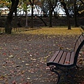 大阪城公園-26.jpg