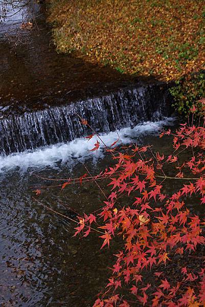 出石町-26.jpg