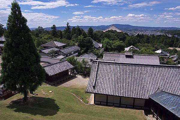 東大寺-65.jpg