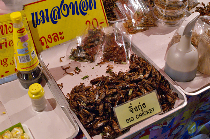 Chiang Mai night-49.jpg Chiang Mai night-49.jpg