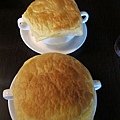 1000611009.JPG