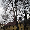 honeymoon 268.JPG
