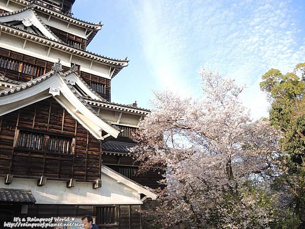 16(001).jpg 16(001).jpg