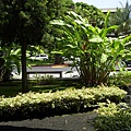 Royal Kona Resort 2.JPG