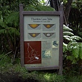 熔岩洞成形圖 Thurston Lava Tube.JPG