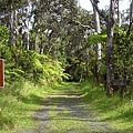 Lava Tube entrance.JPG