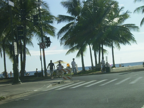 要去海豚餐廳了.JPG