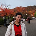 円山公園的楓景其實也很不錯