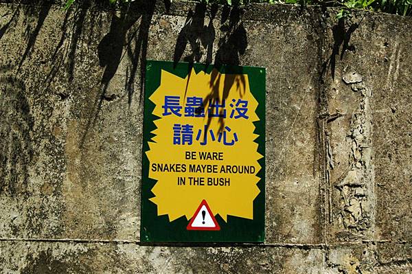 ...我最怕蛇了:(