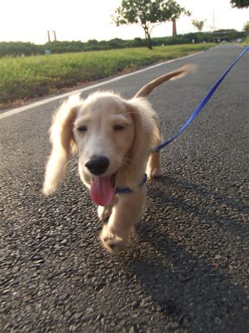 河濱公園跑跑跑