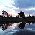 The river behind Stanthorpe YMCA