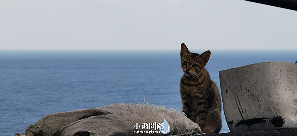 新北網美IG秘境｜東北角水湳洞小希臘Ample Villa 玻璃屋｜藍白場景讓你秒到地中海