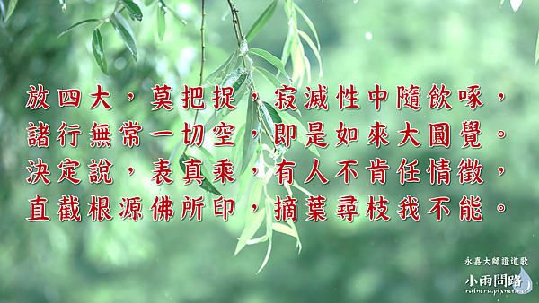禪門語錄 永嘉玄覺禪師 證道歌 小雨問路 痞客邦