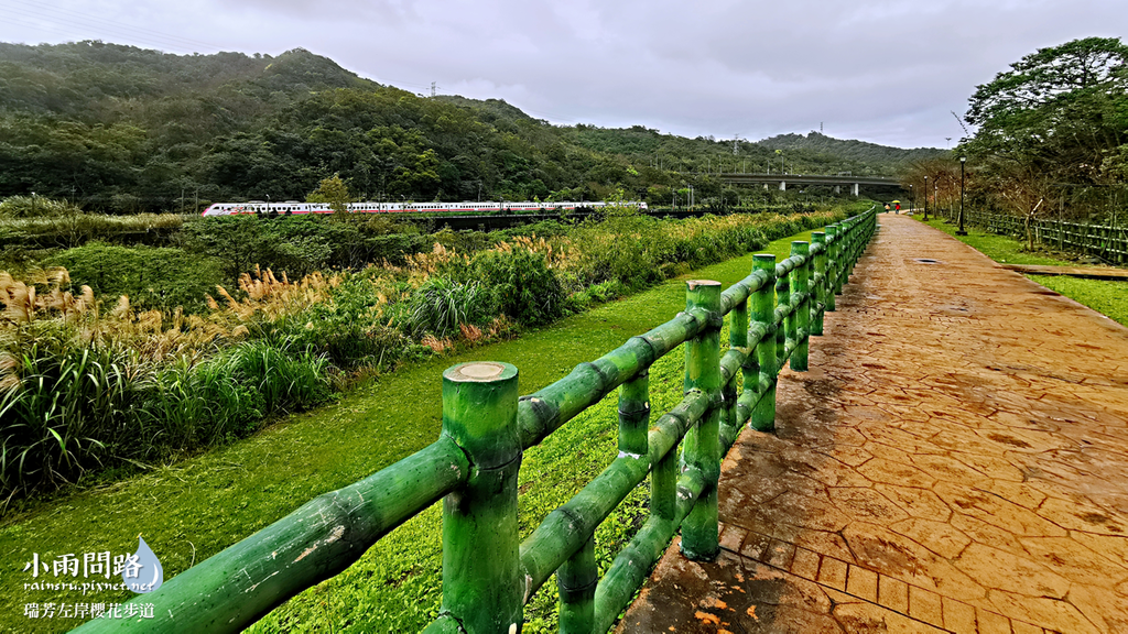 新北瑞芳｜賞櫻新景點｜瑞芳左岸櫻花步道｜沿著河畔賞粉櫻、桃櫻、白櫻 (23).PNG