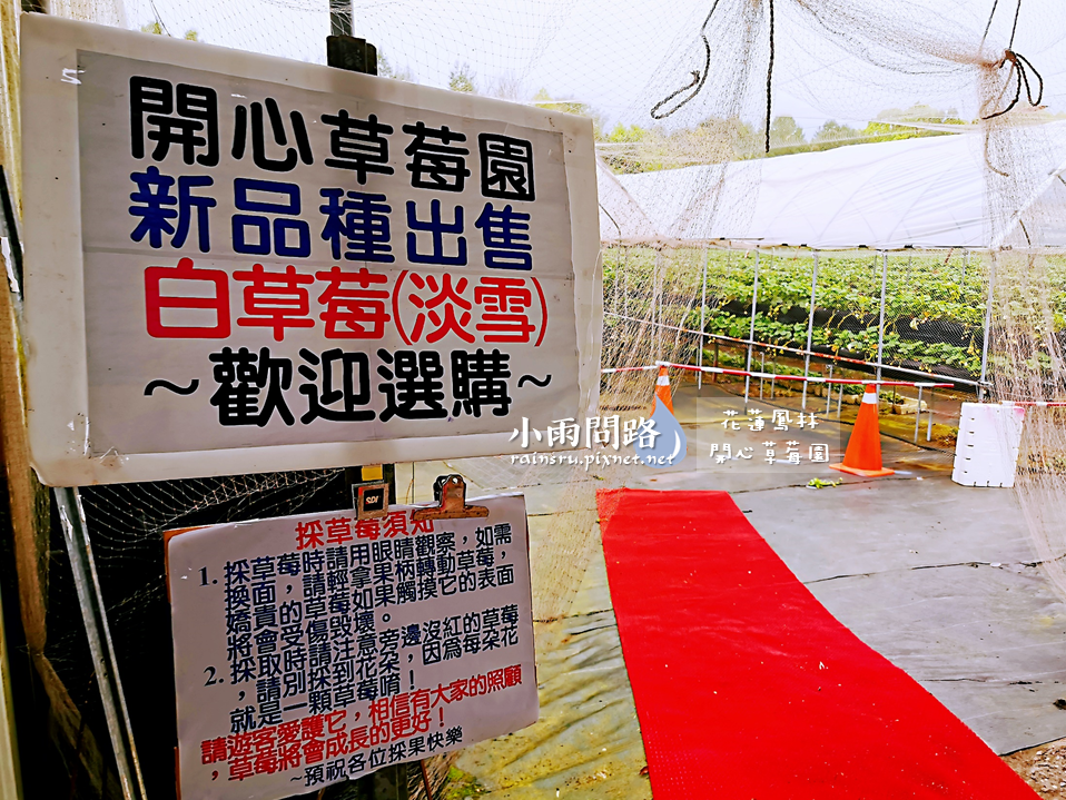 花蓮採草莓推薦｜鳳林開心草莓園｜親子景點免門票｜高架草莓｜草莓季尾巴追一波！ (17).PNG