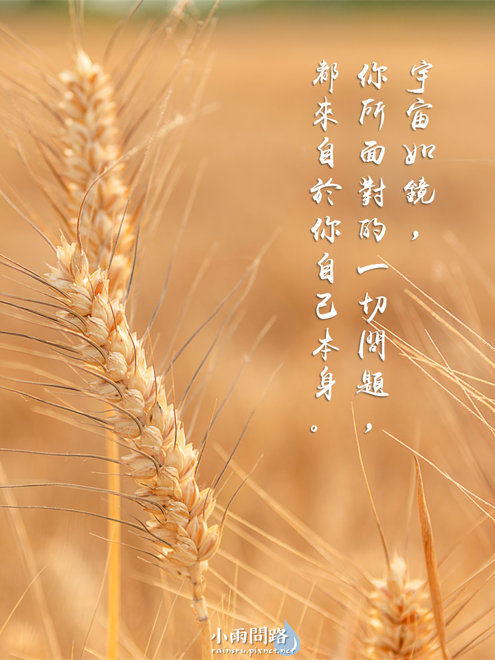 節氣音樂｜芒種歌詞 歌詞意思 芒種MV 芒種舞蹈｜因果法則是宇宙定律_小雨問路 (11).PNG