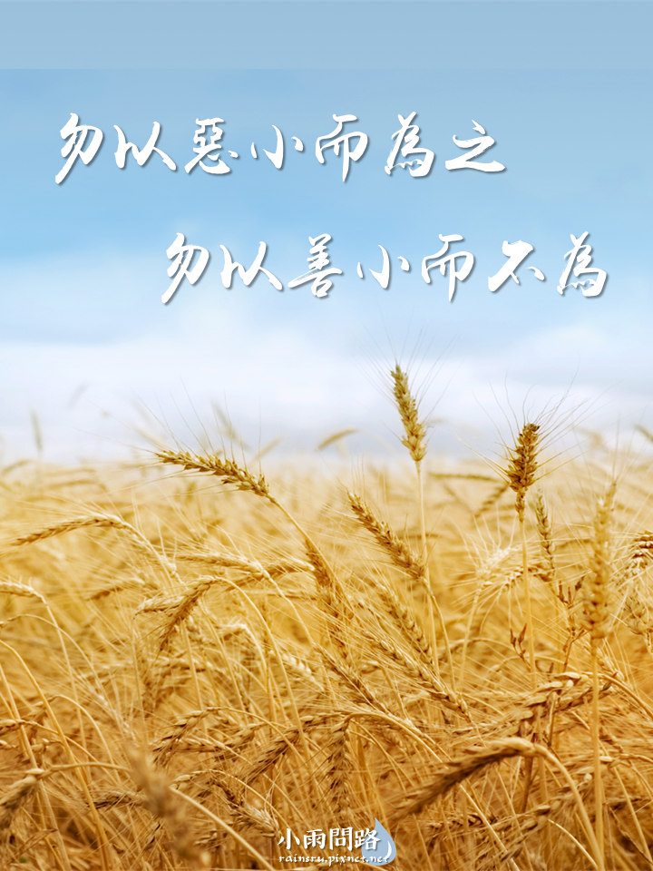 節氣音樂｜芒種歌詞 歌詞意思 芒種MV 芒種舞蹈｜因果法則是宇宙定律_小雨問路 (12).PNG