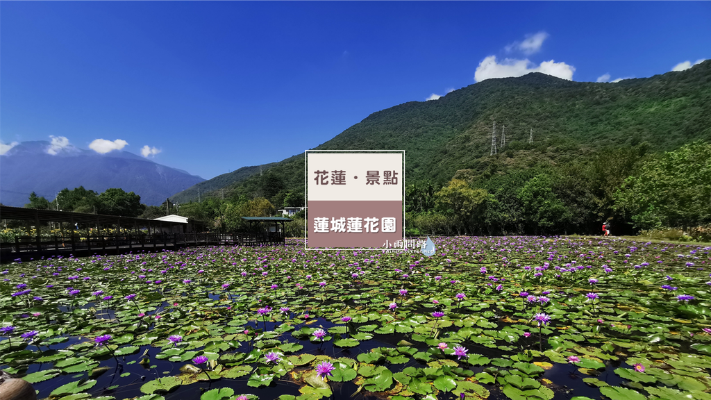 花蓮私房景點推薦｜吉安蓮城蓮花園｜免門票喝蓮花茶賞蓮花_小雨問路 (1).PNG