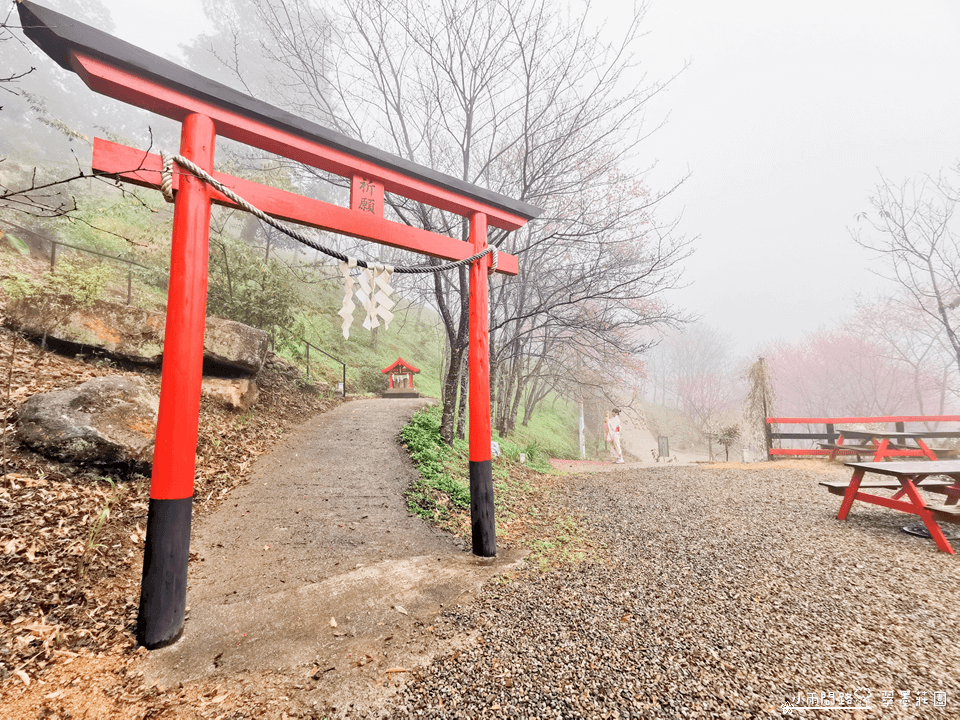 桃園賞櫻景點推薦｜翠墨莊園｜上千棵櫻花樹,和服體驗,日式造景彷彿秒飛日本！_小雨問路 (26).PNG