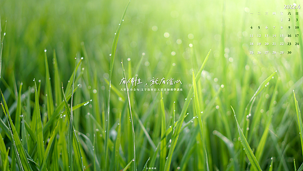 正能量金句桌布202204月｜7款療癒心靈電腦桌布｜清新簡約手機桌布圖｜免費下載_小雨問路 (6).PNG