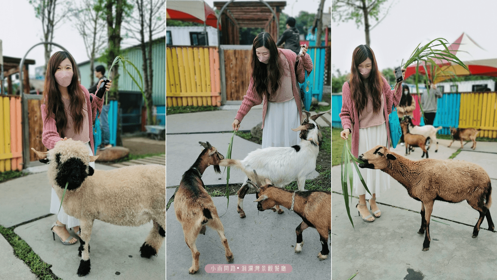 花蓮洄瀾灣景觀餐廳｜親子旅遊景點,必吃餐廳推薦,免費摸萌動物,小火車遊園,花蓮秀林網美打卡景點_小雨問路 (20).png