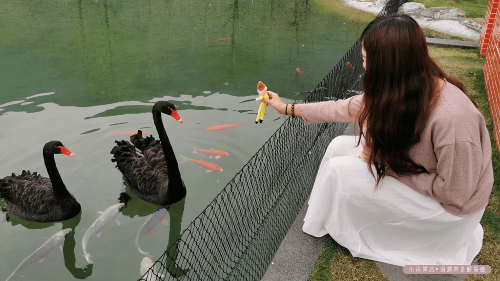 花蓮洄瀾灣景觀餐廳｜親子旅遊景點,必吃餐廳推薦,免費摸萌動物,小火車遊園,花蓮秀林網美打卡景點_小雨問路 (29).png