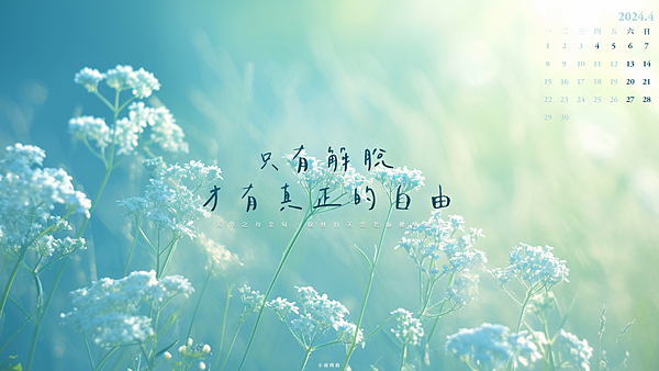 正能量桌布語錄：想要真正的自由，請提升自己的總正量｜心靈成長療癒桌布｜天界之舟地藏道場（202404月）_小雨問路 (4).PNG