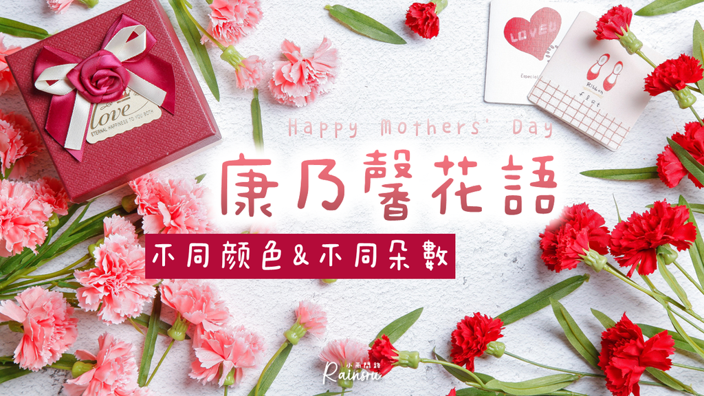 康乃馨花語整理：不同顏色＆數量的康乃馨花語，母親節送花參考及注意事項_小雨問路