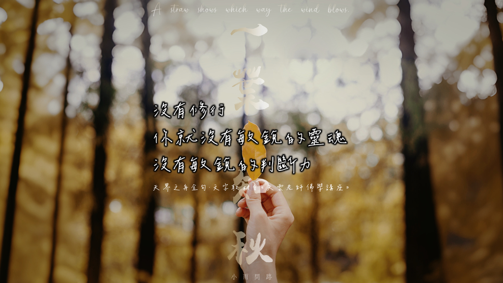 一葉知秋的敏銳力、不被詐騙｜天界之舟金句(33)正能量語錄｜沒有修行，你就沒有敏銳的靈魂與判斷力｜天雲老師_小雨問路.png