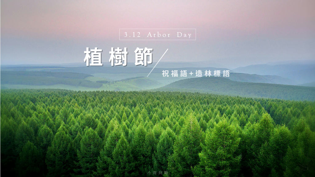 2025植樹節祝福語+造林標語50句|一起種樹護地球_小雨問路.png 2025植樹節祝福語+造林標語50句|一起種樹護地球_小雨問路.png