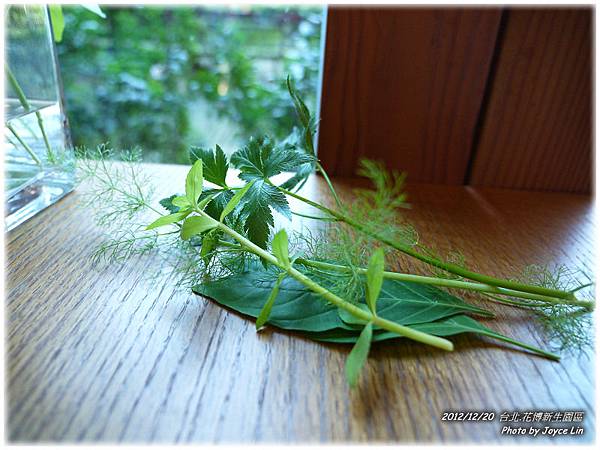 005-香草植物