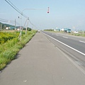 P1000910.jpg