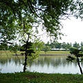 P1000927.jpg