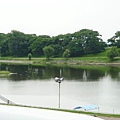 P1000931.jpg