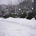 heavy-snow.JPG