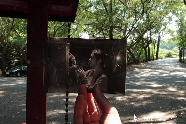 IMG_02_13.JPG IMG_02_13.JPG