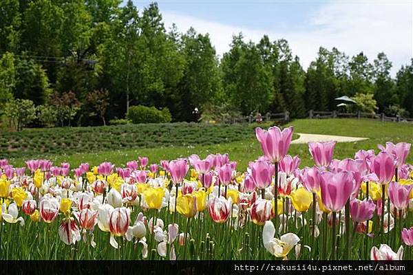 DSC06330.JPG DSC06330.JPG