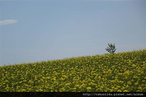 DSC06436.JPG DSC06436.JPG