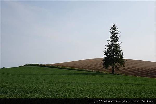 DSC06975.JPG DSC06975.JPG