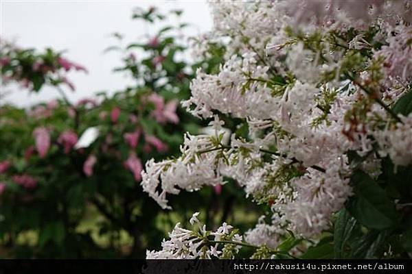 DSC07971.JPG DSC07971.JPG