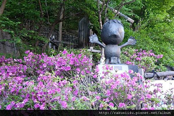 DSC08429.JPG DSC08429.JPG