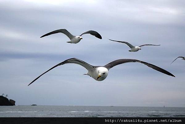 DSC00145.jpg DSC00145.jpg