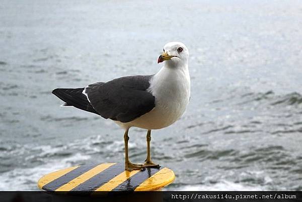 DSC00176.jpg DSC00176.jpg