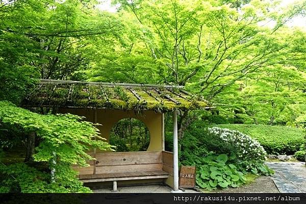 DSC00247.jpg DSC00247.jpg