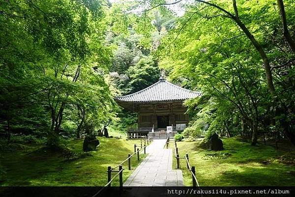 DSC00264.jpg DSC00264.jpg